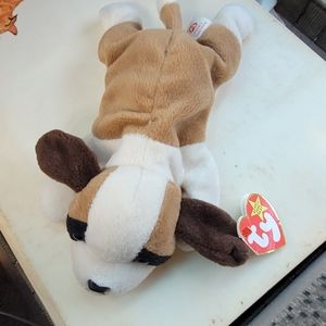 Beanie Baby  Bernie gently used